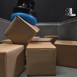 Why Robotic Grasping is the Hardest Problem in Warehouse Automation